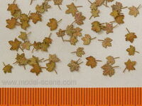 Maple - Autumn Leaves, Extra Colours